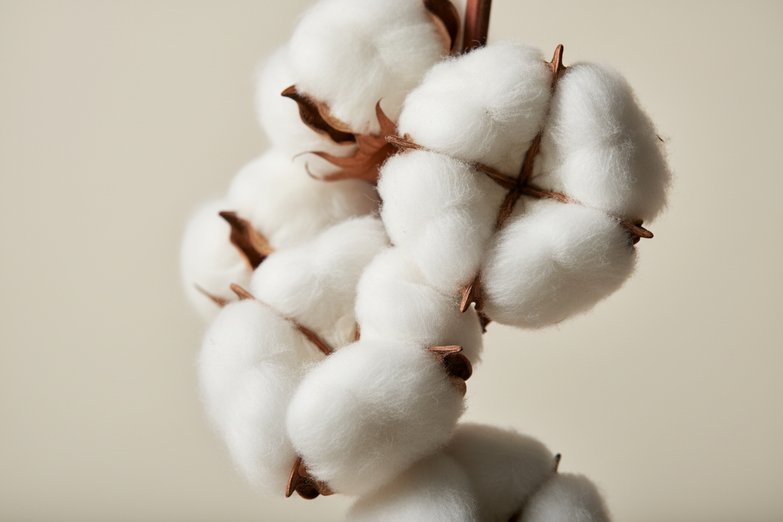 Nachhaltigkeit liegt uns am ❤